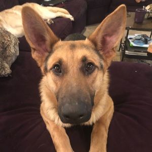 Meet your Posher, Jaime